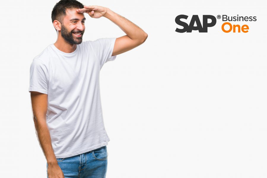 License Free Professional user in SAP Business One
